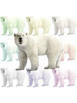 北極熊 ホッキョク グマ 白熊 シロクマのイラスト 条件付フリー素材集