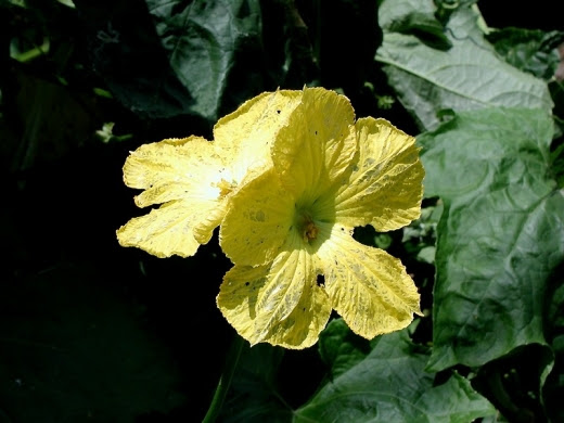 8月10日の每日報報 Wahouse和風家