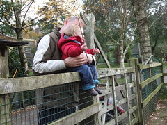 Tilgate Park