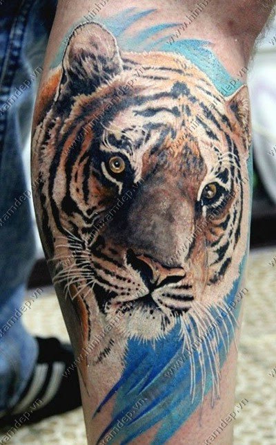 Tattoo hình xăm con cọp ở bắp chân