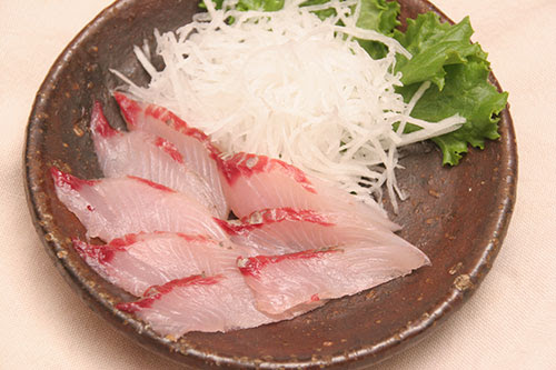 ボラ 鯔 釣魚料理大全 海水編 房総爆釣通信