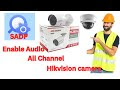 To enable audio on your Hikvision NVR