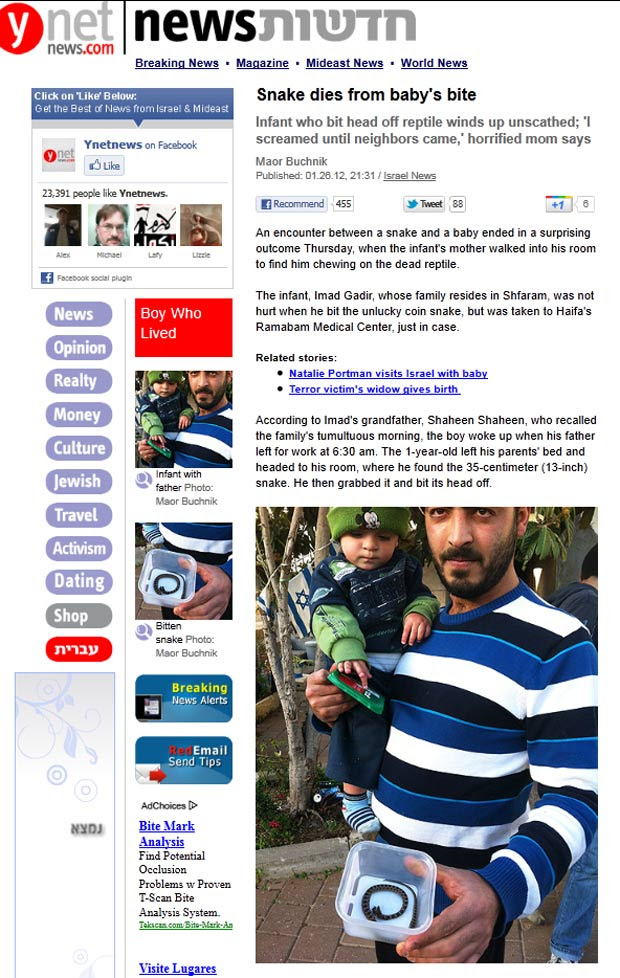 Bebê matou uma cobra de 35 cm após arrancar com uma mordida cabeça do réptil. (Foto: Reprodução)
