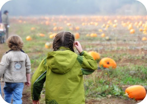 Pumpkin Hunt