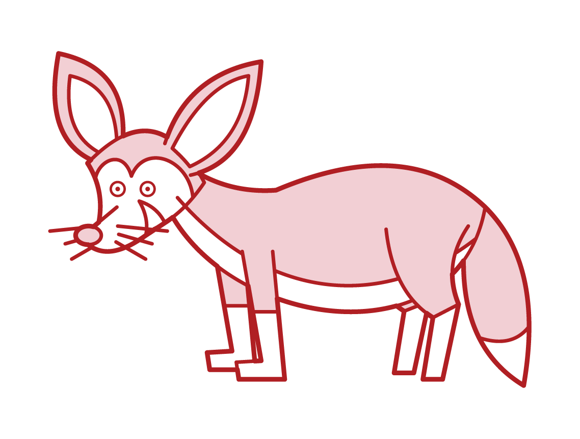 フェネックのイラスト フリーイラスト素材 Kukukeke ククケケ