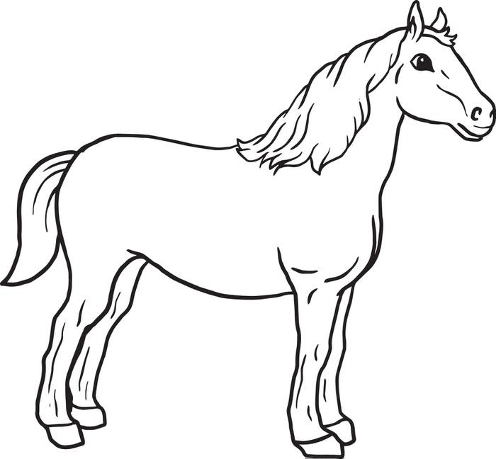 Download Horse Coloring Pages | Free download on ClipArtMag
