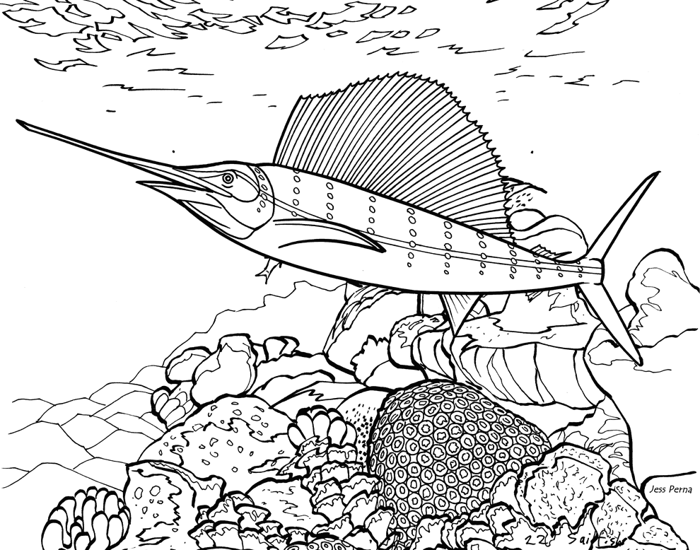 Realistic Fish Colouring Pages Clip Art Library