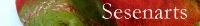 sesenarts