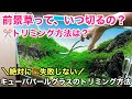 [最新] パール グラス レイアウト 192710-パールグラス レイアウト