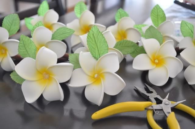 Frangipani