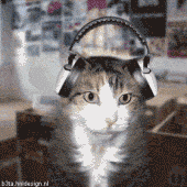 Funny Myspace Comments