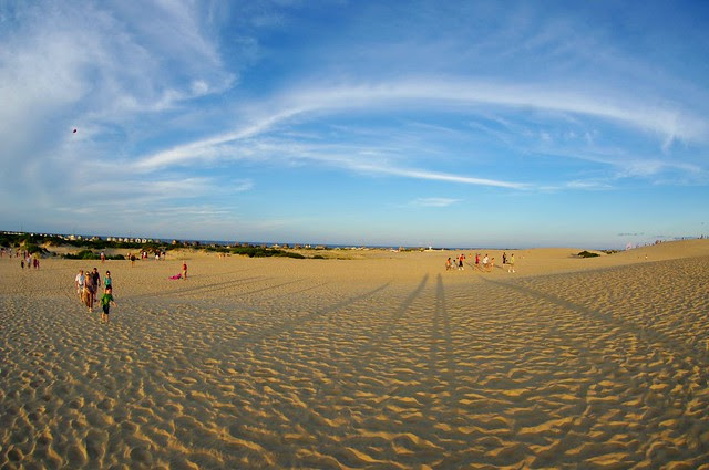 Fishy Dunes