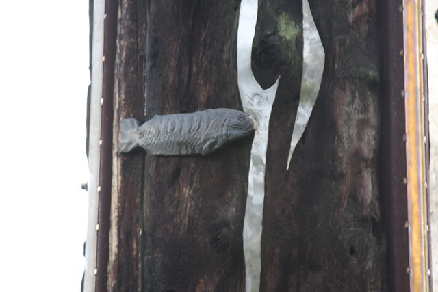 Salmon Cycle Marker