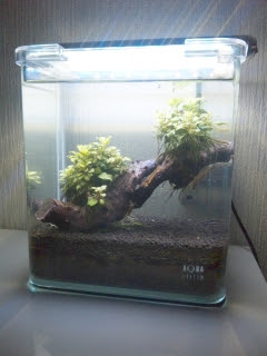 アクアシステム ニューアール １８０ 水槽単体 １８ １２ ２０ｃｍ 1 360円 わたしのブログ By なんさか 楽天ブログ