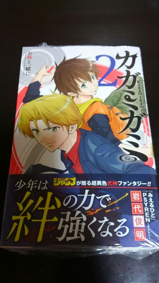 カガミガミ 2 岩代俊明 絵日記綺譚 Bloguru