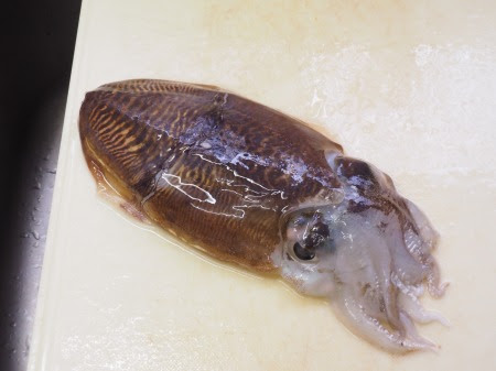 モンゴウイカのさばき方と刺身 動画 魚料理と簡単レシピ
