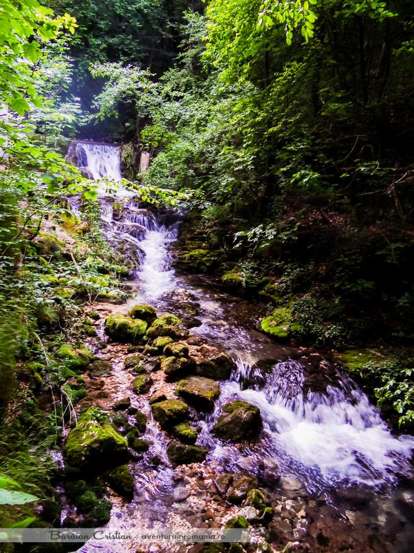 Cascada Bigar, Cheile Nerei Beusnita, Cascade - Aventura ...