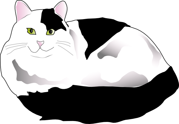 black and white cat cartoon. Missiridia Black And White