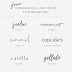 Best Font Style for Logo
