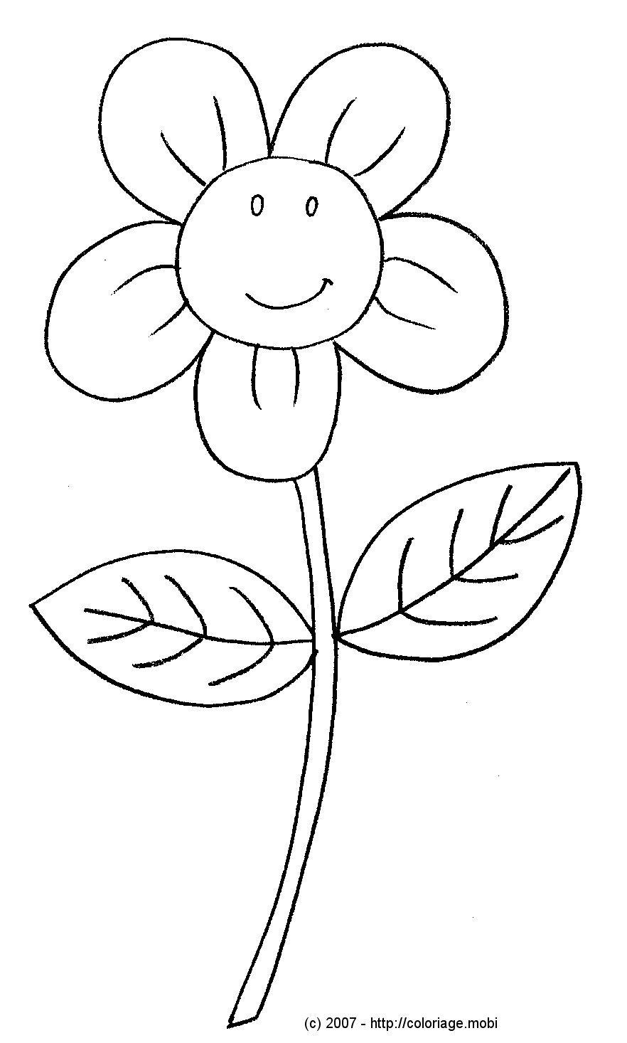 coloriage fleur et plante