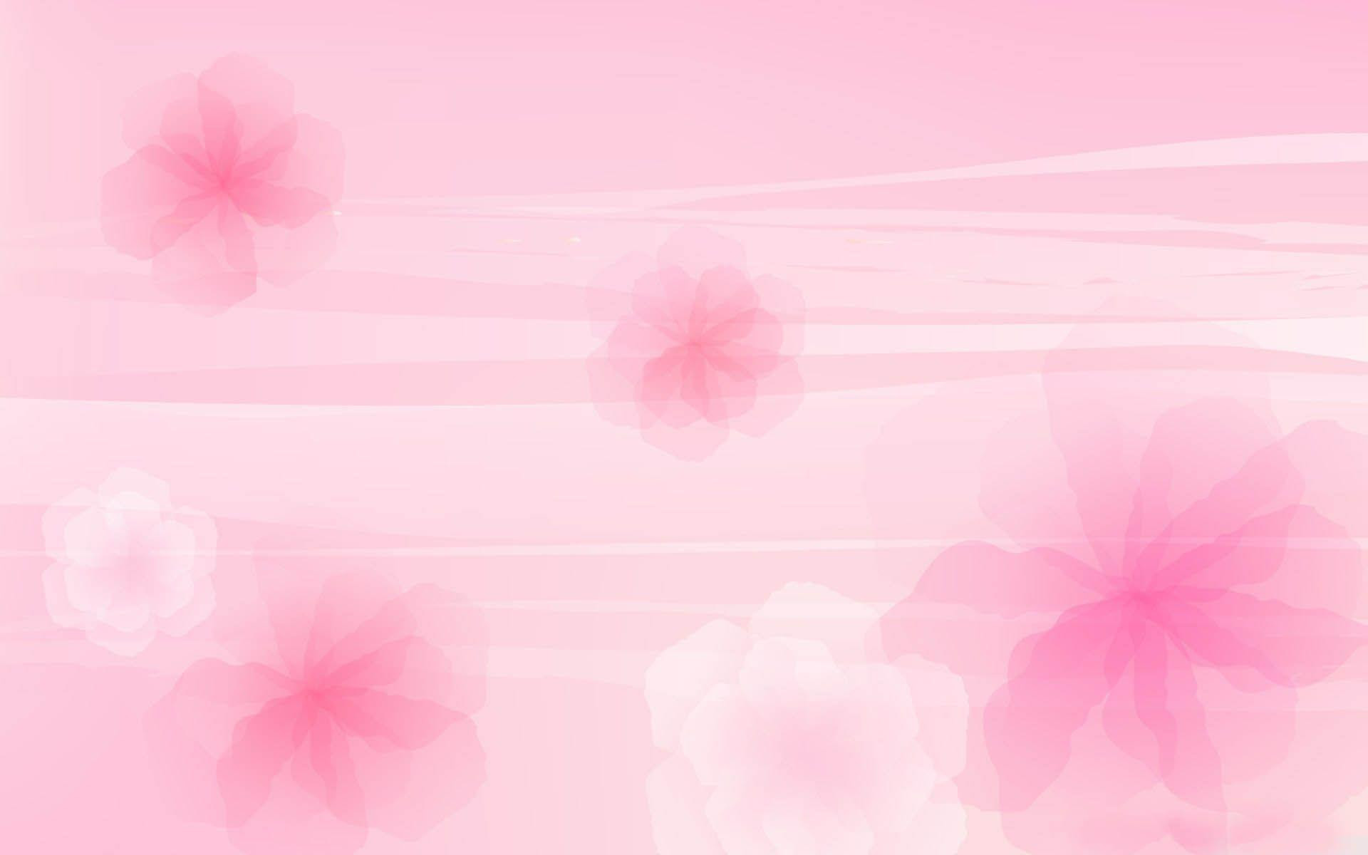 Light Pink Flower Wallpapers - Wallpaper Cave