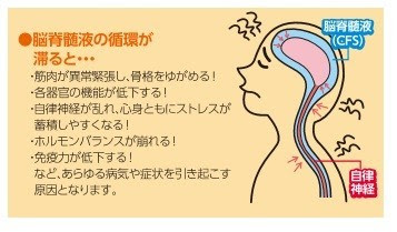 治療メニュー 脳脊髄液治療 なかざわ整骨院
