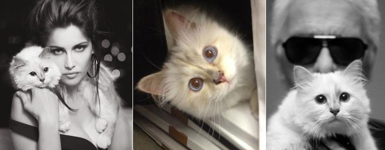 Choupette, la mujer que se esconde detrás de Lagerfeld