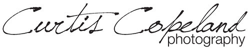 Logo_10X2_Banner