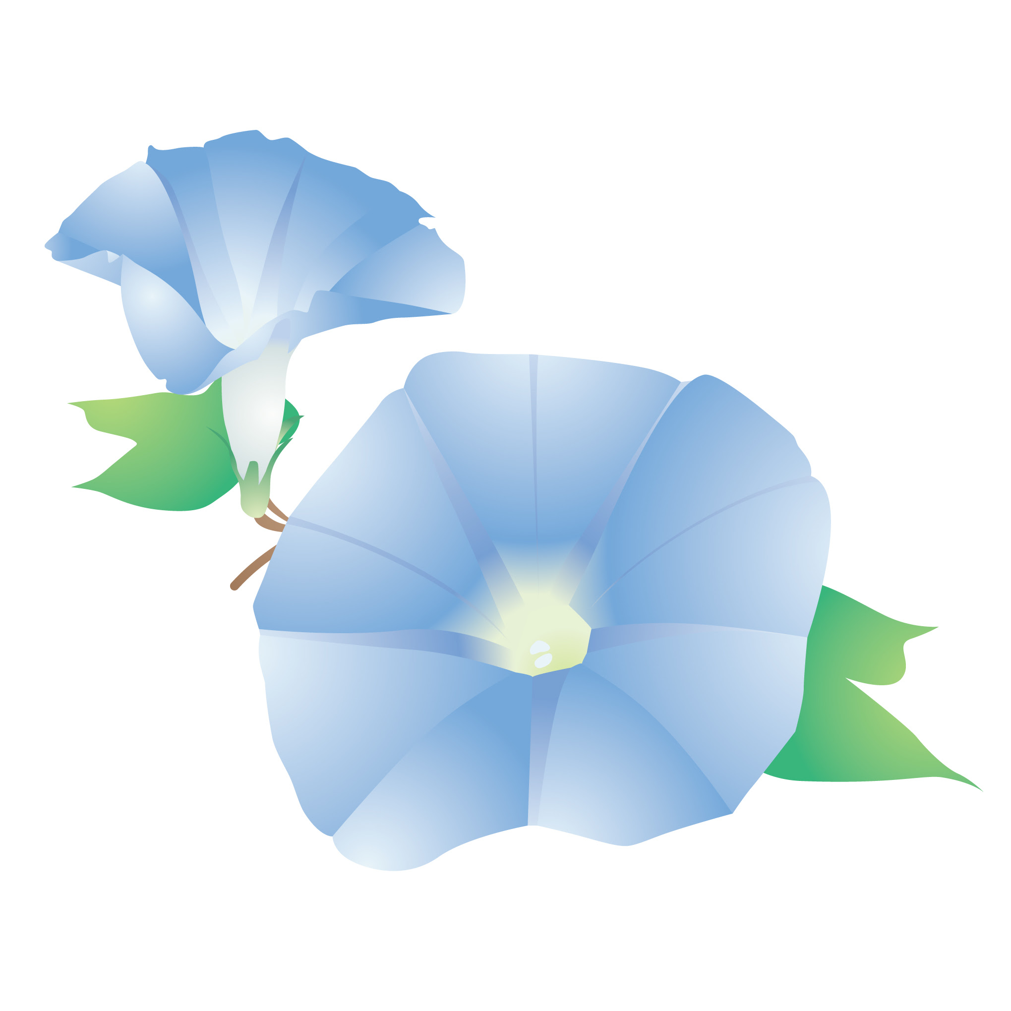 花のイラスト 無料 7月