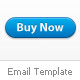 iNewsletter - ThemeForest Item for Sale