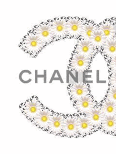 Chanel ロゴ 壁紙 Iucn Water