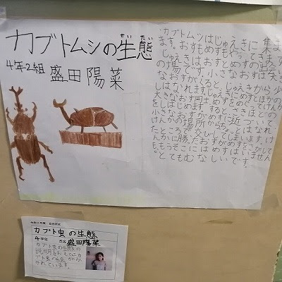 最速 クワガタ 自由研究 一年生 まとめ方