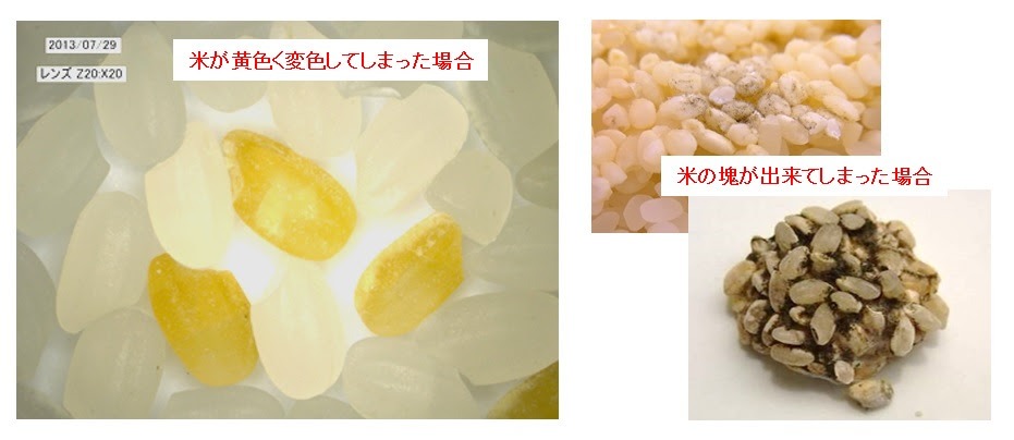 お米のｑ ａ お米をおいしくたべよう ミツハシライス