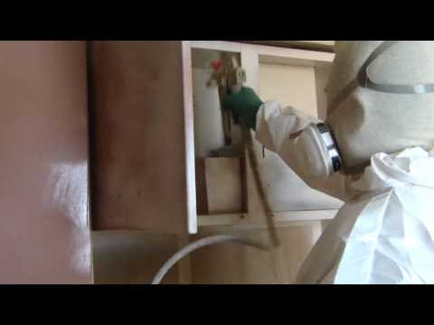 5 Reasons NOT to use commercial cooking sprays - Worldnews.