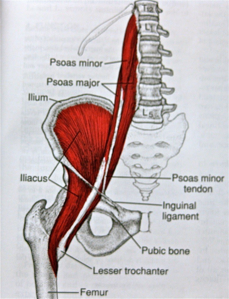 Lower Back Pain The Hip Flexor Fix Therapeutic Personal Trainers North Vancouver