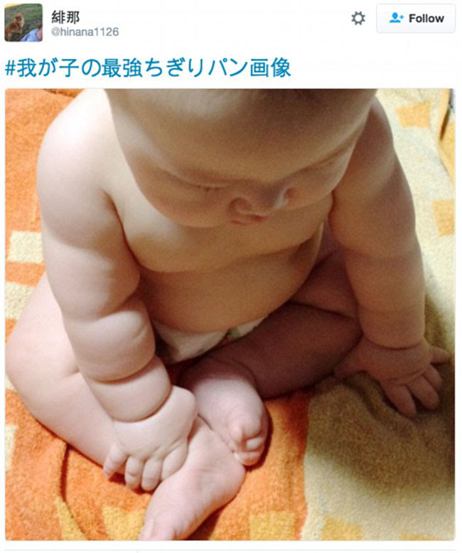 かわいい 赤ちゃんの腕とパンの比較写真が日本で流行 新華網日本語
