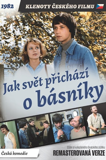 Kép