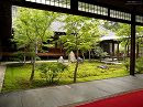 京都の庭園壁紙 京都の壁紙ドットコム