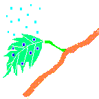 Transpiration Icon