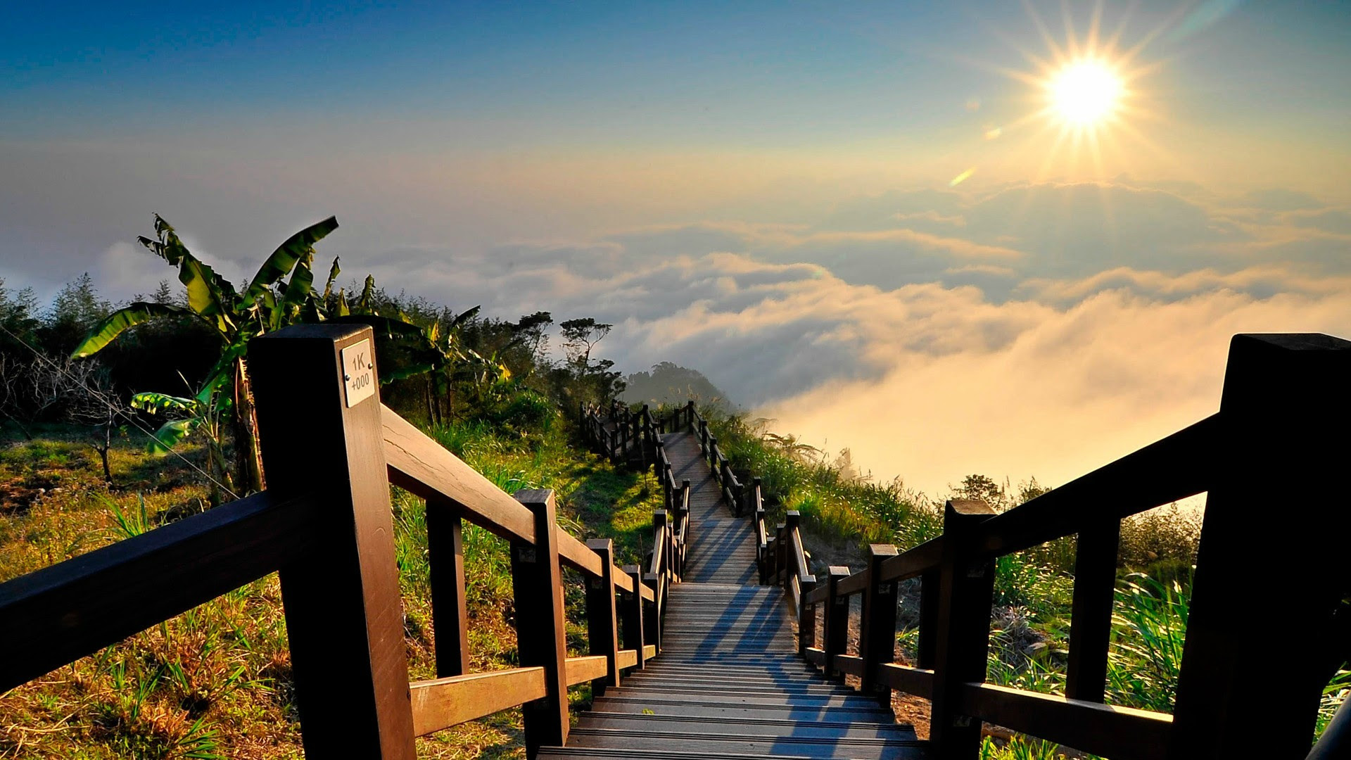 Somewhere in Southern Taiwan...