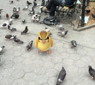 ポケモンgo 感謝祭 ポッポマラソンで経験値 超え エゲツナイwww ポケモンgo攻略まとめ速報