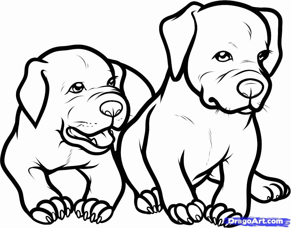 Pitbull Coloring Pages Printable - Coloring Home