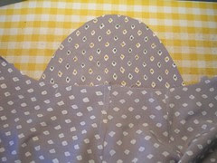 sleeve and bodice