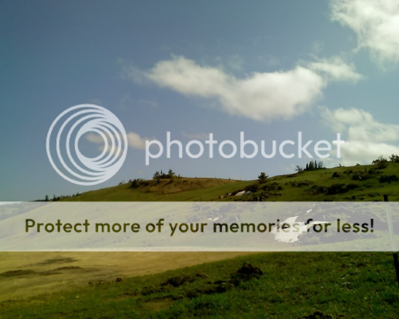 Photo Sharing and Video Hosting at Photobucket
