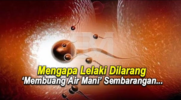WAJIB BACA!!!!..Inilah 7 Sebab Mengapa Lelaki Dilarang "Membuang Air Mani" Sembarangan...Kesannya Amat Mengerikan..Nombor 3 Dan 4 Ramai Sudah Nampak