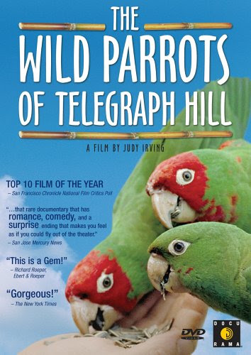 The Wild Parrots Telegraph Hill