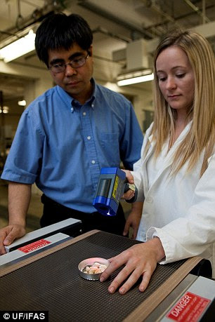 Dr Yang, left, used pulsed light to remove 80 percent of the allergens from a whole peanut