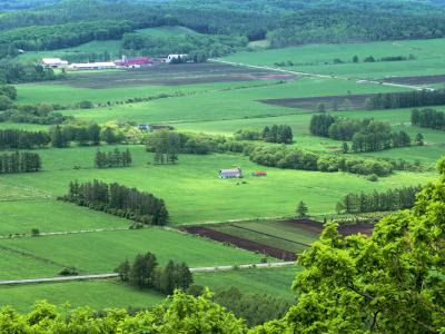 北海道图片 北海道壁纸高清 北海道图片大全 桌面城市