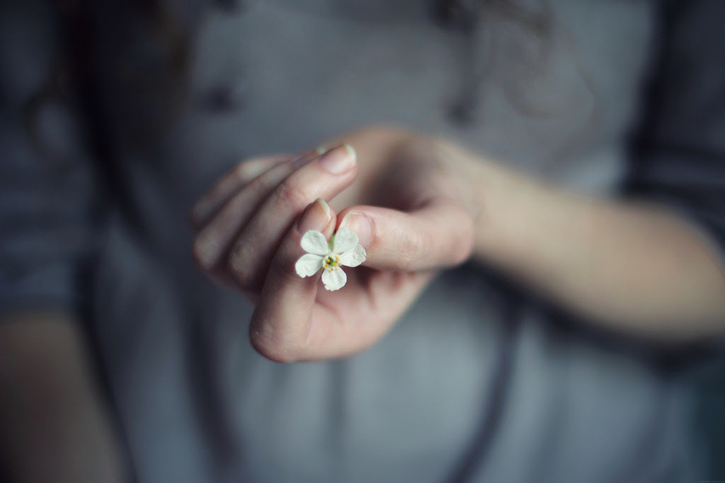growing-orbits:

by Siréliss