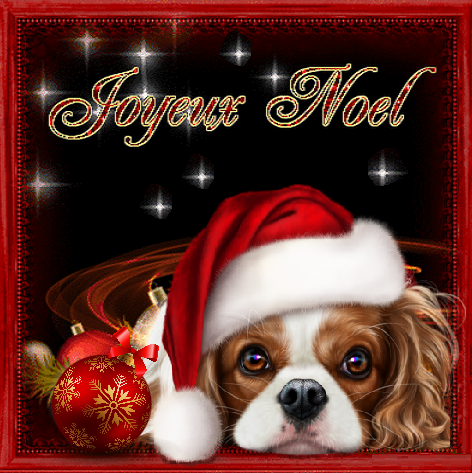 Joyeux Noel Boules Chien Avec Bonnet De Noel